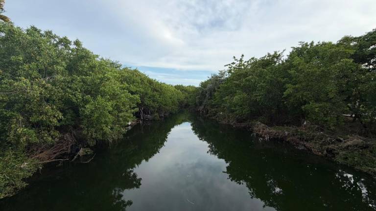 Semarnat plantea una intervención integral en el Arroyo Jabalines para mejorar el desfogue del agua y reducir riesgos de inundación en Mazatlán.