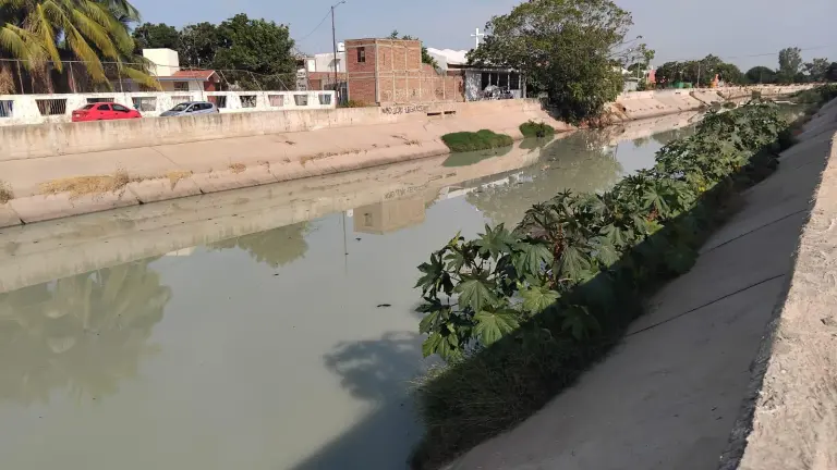Vecinos se quejan de los malos olores en el Arroyo Jabalíes.