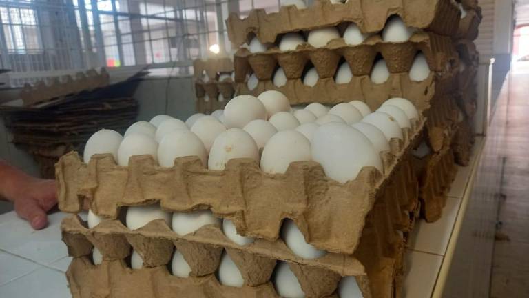 Precio de la cartera de huevo alcanza los $78 pesos en Escuinapa