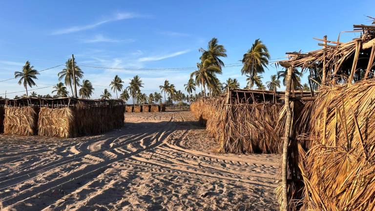 Más de 3 millones de pesos en pérdidas dejaron las Fiestas del Mar de Las Cabras.