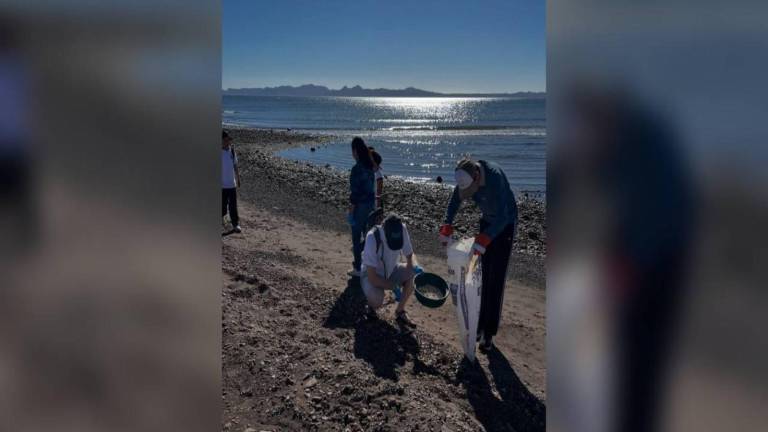 Las organizaciones señalaron que también genera un cambio sustantivo entre puerto de cabotaje por uno de altura.