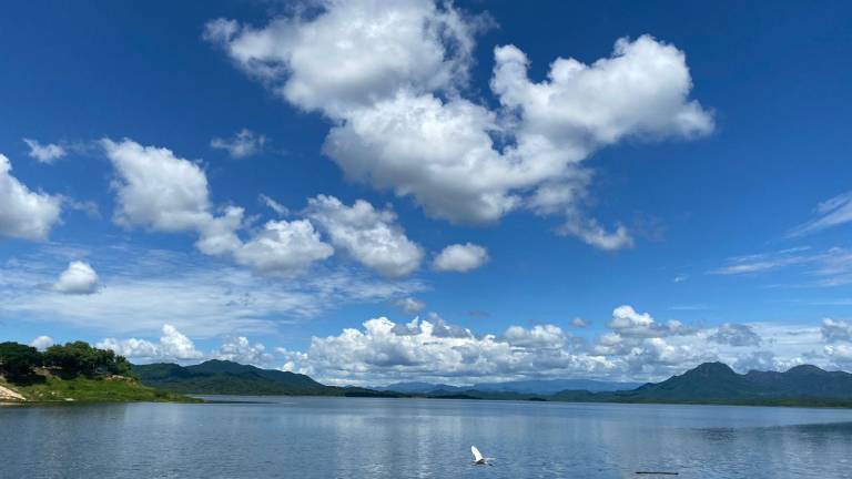 Narnia luce llena de agua.