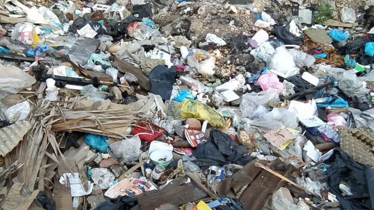 Con la temporada de lluvias en marcha, canales y arroyos en Mazatlán están llenos de basura