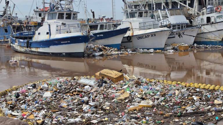 Las biobardas instaladas en Mazatlán han logrado contener que parte de la basura llegue al mar.