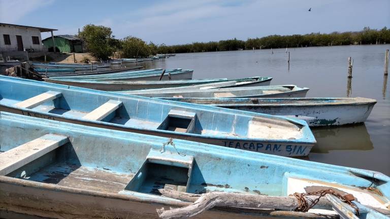 Cerca de mil 200 pescadores asociados y libres vigilan el crecimiento del camarón durante la temporada de veda en El Huizache.