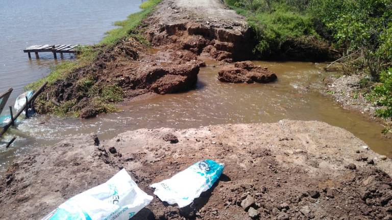 Desde Cospita (sur de Culiacán) hasta Escuinapa, pasando por Elota, San Ignacio, Mazatlán y Rosario, hay granjas que sufrieron pérdidas tras la tormenta ‘Nora’.
