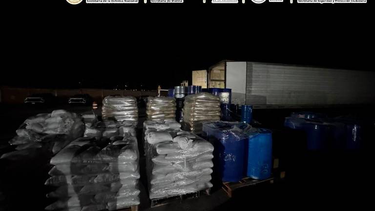 Decomisan más de 13 toneladas de precursores químicos en Durango