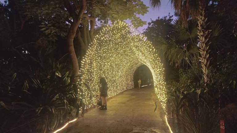 El Jardín Botánico volverá a encender sus luces navideñas.