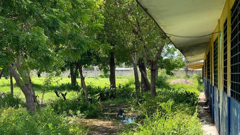 En la Secundaria SNTE de Escuinapa tras las lluvias el agua queda estancada en el plantel.