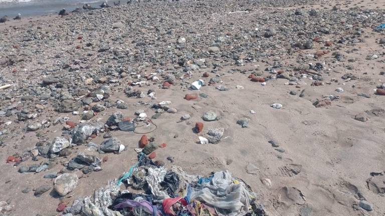 Las marejadas continúan arrastrando quemadores, troncos y basura a las playas de Mazatlán.