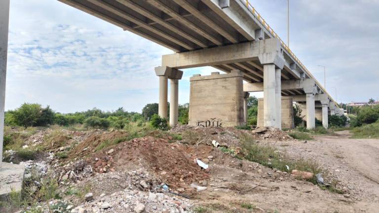 Debajo del puente que atraviesa el Río Baluarte, en Rosario, se ha empezado a formar un basurero clandestino.
