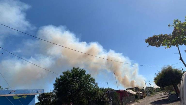 Detonación de artefactos explosivos cerca de la comunidad de Tecualilla.