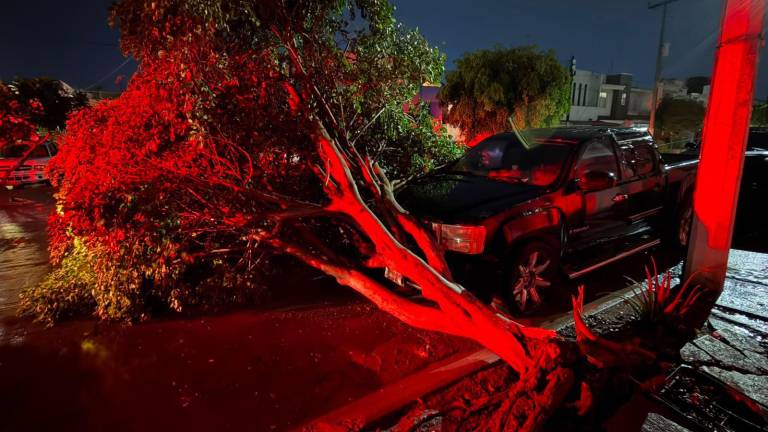 Reportan 70 viviendas inundadas en Bicentenario y más de 260 personas afectadas tras lluvias en Culiacán