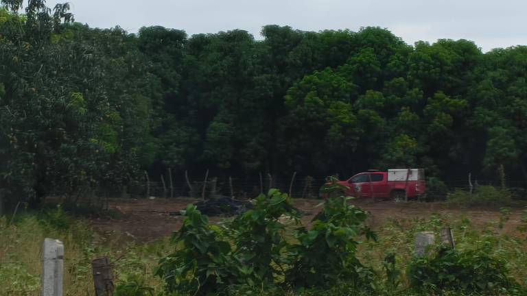 Elementos de diversas corporaciones acudieron a una huerta de mangos en Agua Verde tras el reporte de un cuerpo semienterrado.