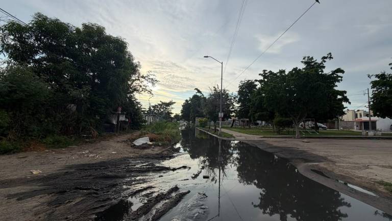 Las principales fugas de aguas negras se presenta en la calle Luis Nishizawa, afectando vialidades como Walamo, Santa Teresa, Priscila, Sor Juana Inés de la Cruz y Mónica.