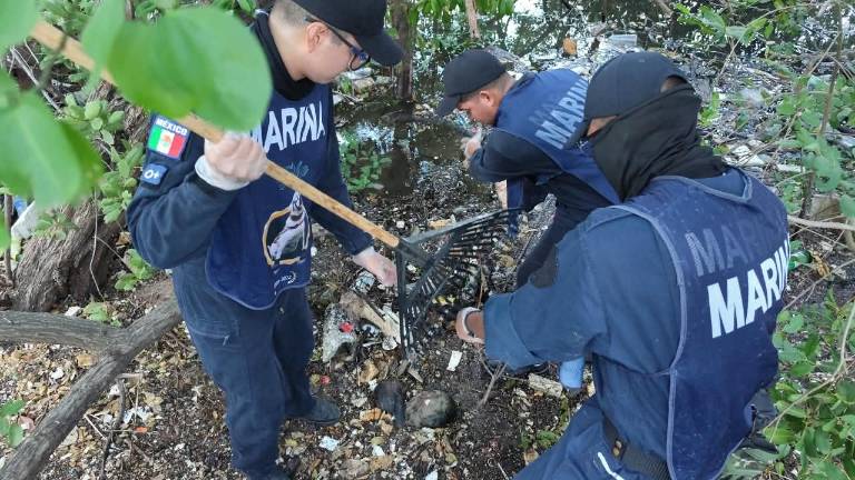 Personal naval se sumó a las labores de limpieza del manglar del Estero de Urías, en Mazatlán.