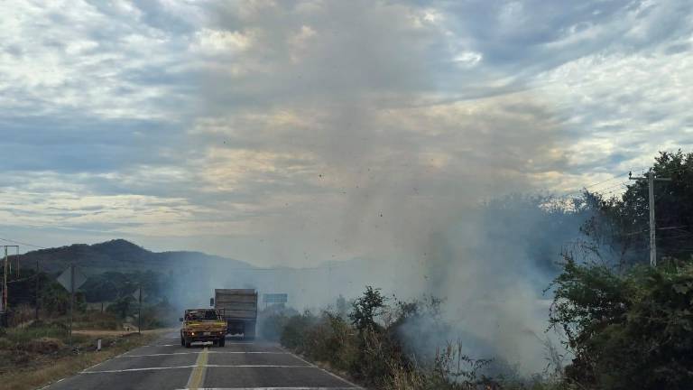 La principal causa es la mano del humano, la cual ocupa hasta en un 90 por ciento de los reportes, indicó PC.
