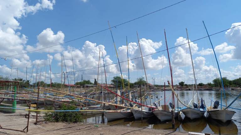 Los ‘castigados’ de Las Puentes, la comunidad de Navolato que ya tiene casi 4 meses sin agua potable