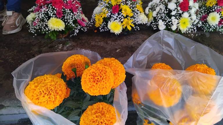 Floristas del Mercado de las Flores en Mazatlán exhiben sus productos, entre ellos cempasúchil, clavel y nube, a pocos días del Día de Muertos.