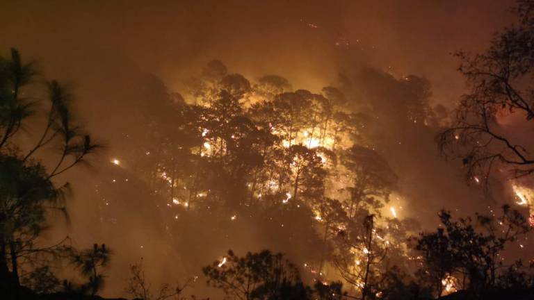 El incendio ya arrasó con más de 80 hectáreas de pino, cerca del poblado Loberas, en la sierra de Concordia.