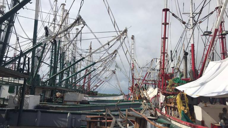 Por fallas, barcos camaroneros de Mazatlán siguen ‘atados’ y aún no salen a altamar