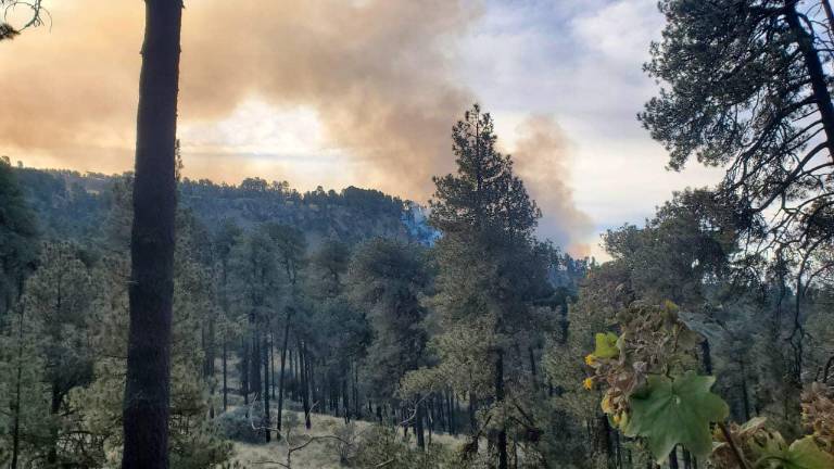 Incendio en el Parque Nacional Izta-Popo.