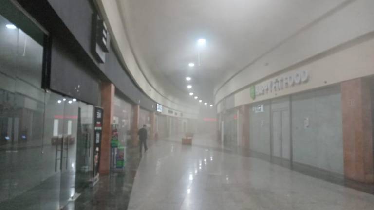 Una zona de una plaza comercial debió desalojarse por el conato de incendio de un restaurante de comida china.