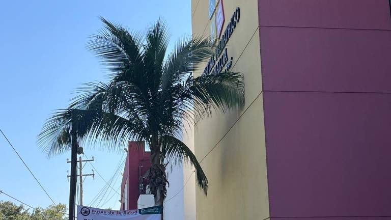 Una adolescente de 13 años está en terapia intensiva en el Hospital Pediátrico de Sinaloa por un diagnóstico equivocado en el Hospital IMSS-Bienestar de Angostura.