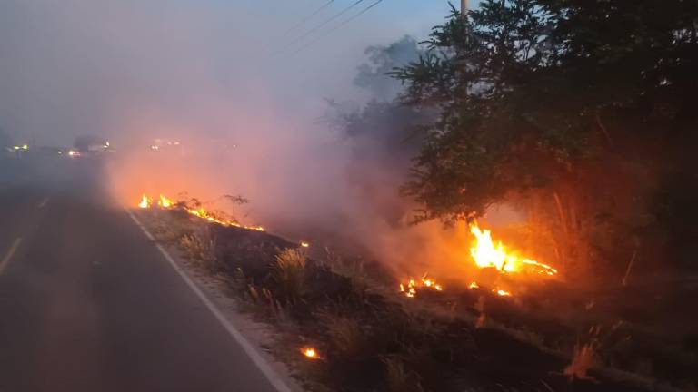 La mayoría de los incendios forestales se originan a orillas de carreteras, señala Protección Civil.