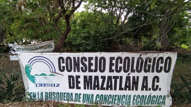 Ecologistas de Mazatlán piden al Presidente de la República que no les quiten terreno en el Bosque de la Ciudad