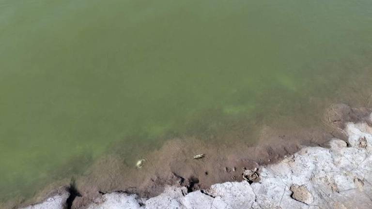 Mancha verde con olores fétidos, además de espuma color blanca aparecieron en el sitio La Draga, del Huizache- Caimanero, en Rosario.