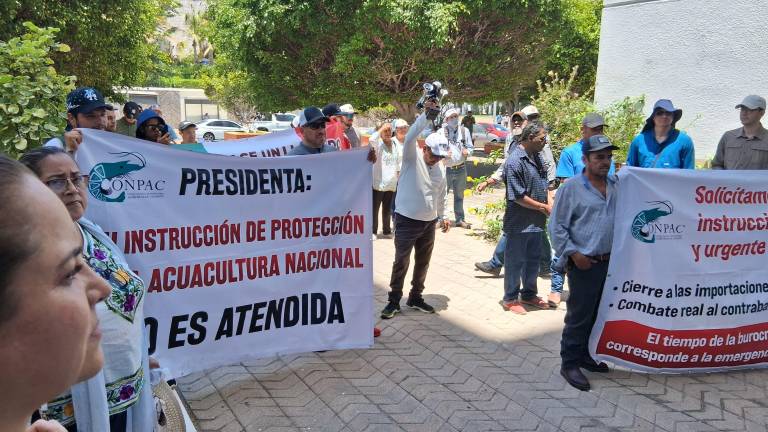 Productores de camarón demandaron acciones contra el contrabando y las importaciones del producto.