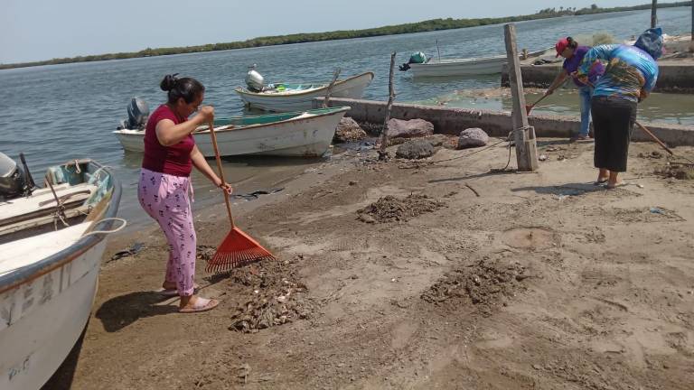 La zona de Yameto donde fueron encontradas sardinas muertas fue limpiada para evitar la propagación de enfermedades.