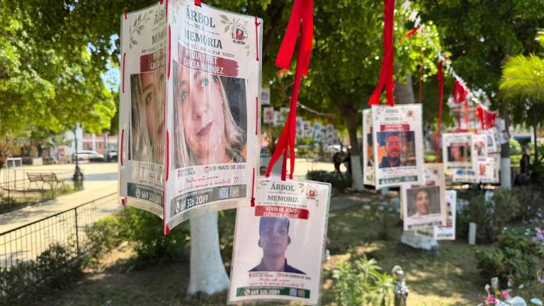 El colectivo espera que el Gobierno municipal respete el memorial y no retire las imágenes, plantas y adornos colocados en la jardinera.