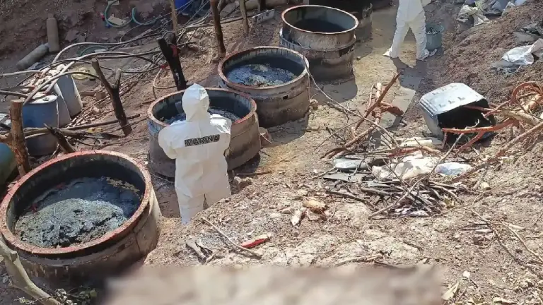 Autoridades federales desmantelaron cinco laboratorios clandestinos en 3 estados.