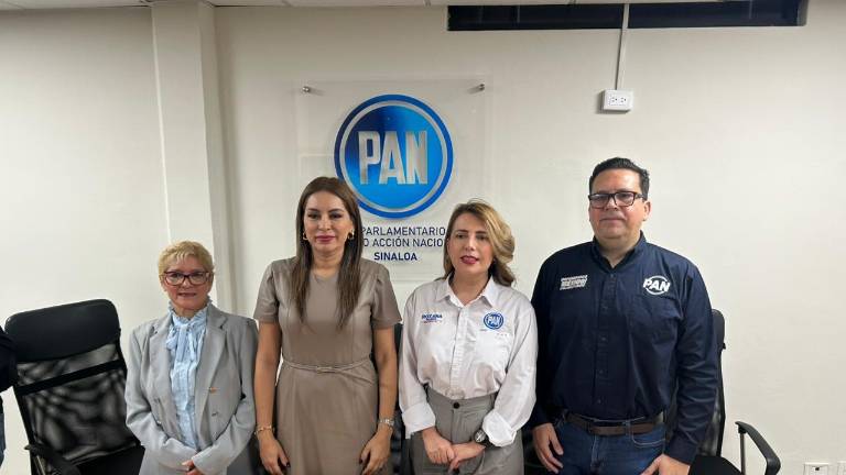 La dirigente Wendy Barajas Cortés advirtió que los cambios planteados buscan someter al INE y garantizar la permanencia del partido oficialista en el poder.