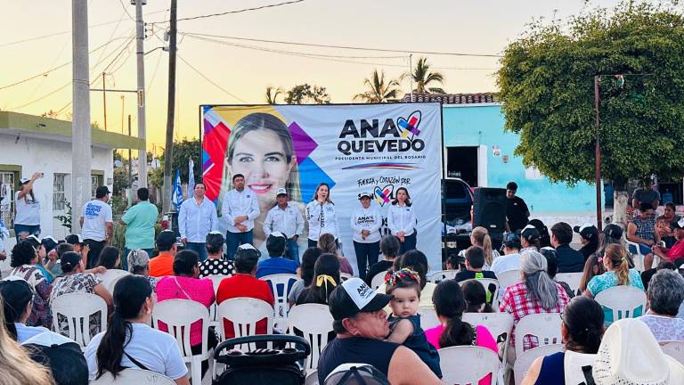 Ana Quevedo lamentó eque le retiraran la propaganda en la sindicatura de Agua Verde, en Rosario.