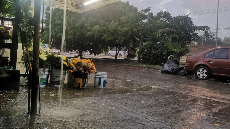 Aunque amaneció nublado en Mazatlán, esta lluvia sorprendió a mazatlecos y algunos transeúntes sacaron sus paraguas.