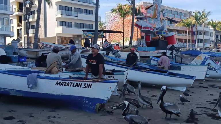 Pescadores no alcanzan a subsistir en sus gastos debido a que tampoco hay mucha venta.