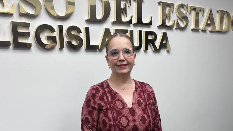 La Diputada local por Movimiento Ciudadano, Elizabeth Montoya Ojeda, indicó que no ha sido notificada sobre supuesta detención de autores del atentado.