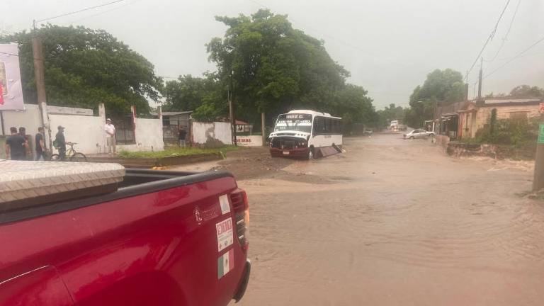 La lluvia de este lunes dejó varias calles inundadas, encharcamientos, arboles caídos y postes dañados.