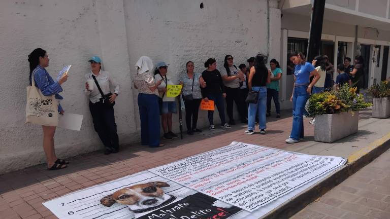 Un grupo de personas se manifestaron frente a la Dirección de Ecología y Medio Ambiente para exigir que haga su trabajo en contra del maltrato animal.