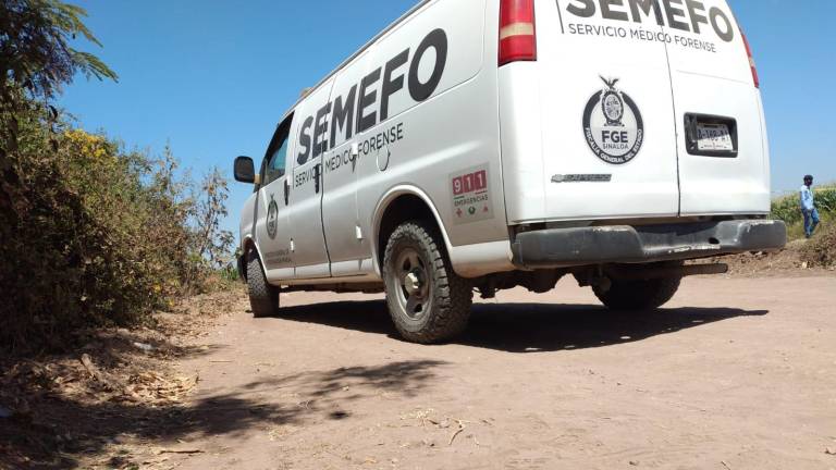 Localizan restos humanos en la sindicatura de Baila