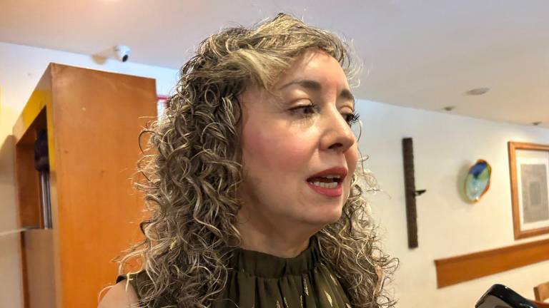 Tiendas de autoservicio, franquicias y nuevos desarrollos inmobiliarios impulsan la inversión privada en Culiacán, destacó Janet Faviola Tostado.