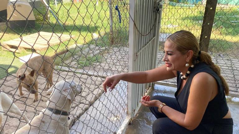 La regidora Milay Quintero Beltrán hace un balance de lo realizado en el año para proteger a los animales en Mazatla´n.