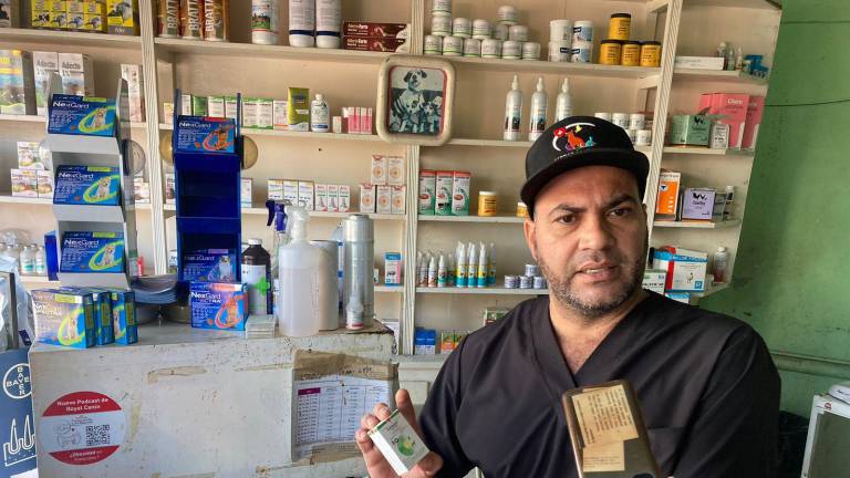 Cristian Rafael Reyes Zamudio, médico de Veterinaria Medical Pets, da recomendaciones para cuidar a las mascotas durante el estallido de cohetes.