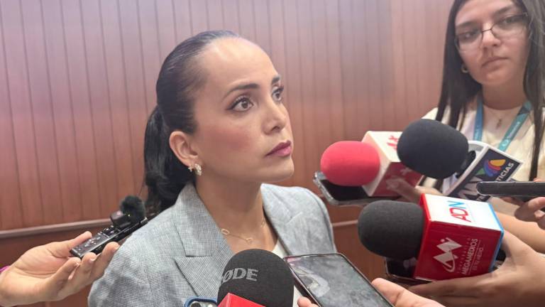 La Diputada por el PRI Irma Moreno Ovalles señaló que Morena deberá justificar los gastos que diputados hicieron por un viaje a Chihuahua.