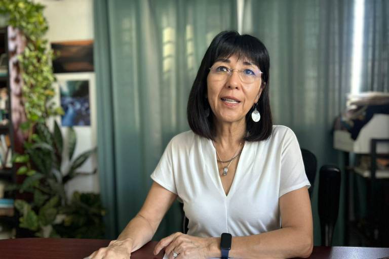 El mangle no es culpable de las inundaciones en Mazatlán, advierte Conselva