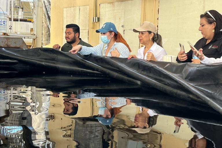 Reconoce Secretaría de Pesca labor del CIAD Mazatlán en acuicultura