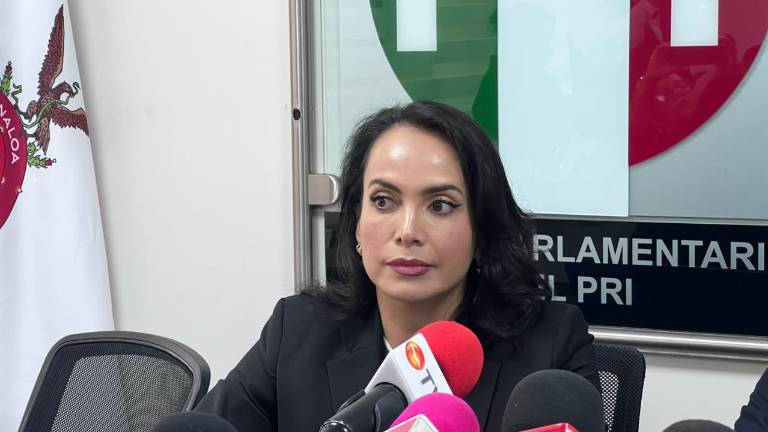 La Diputada local por el PRI, Irma Morena Ovalles, sugiere que los apoyos para el campo se canalicen sin retraso.